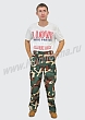 Расцветка 1